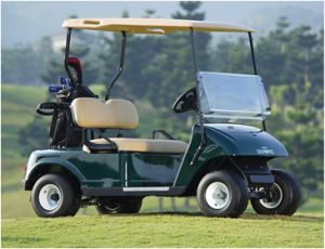 GREEN OLIMPIC GC 2000  קולנועית