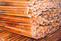 גדר במבוק צהוב 1X5